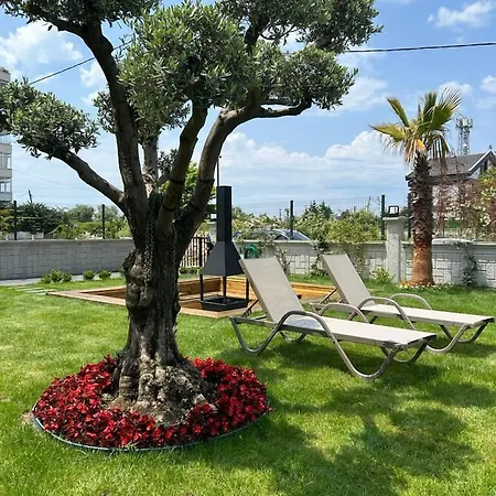 Royalova * Чынарджык