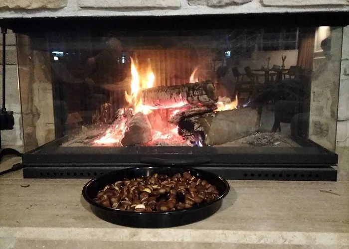 Royalova * Çınarcık